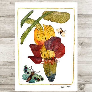 Kunstdruck "Bananenblüte" A4